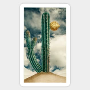 Vintage cactus illustration Sticker